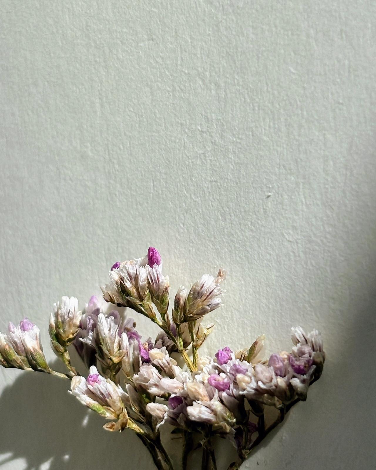 Felicitări cu flori naturale | Șoapte roz