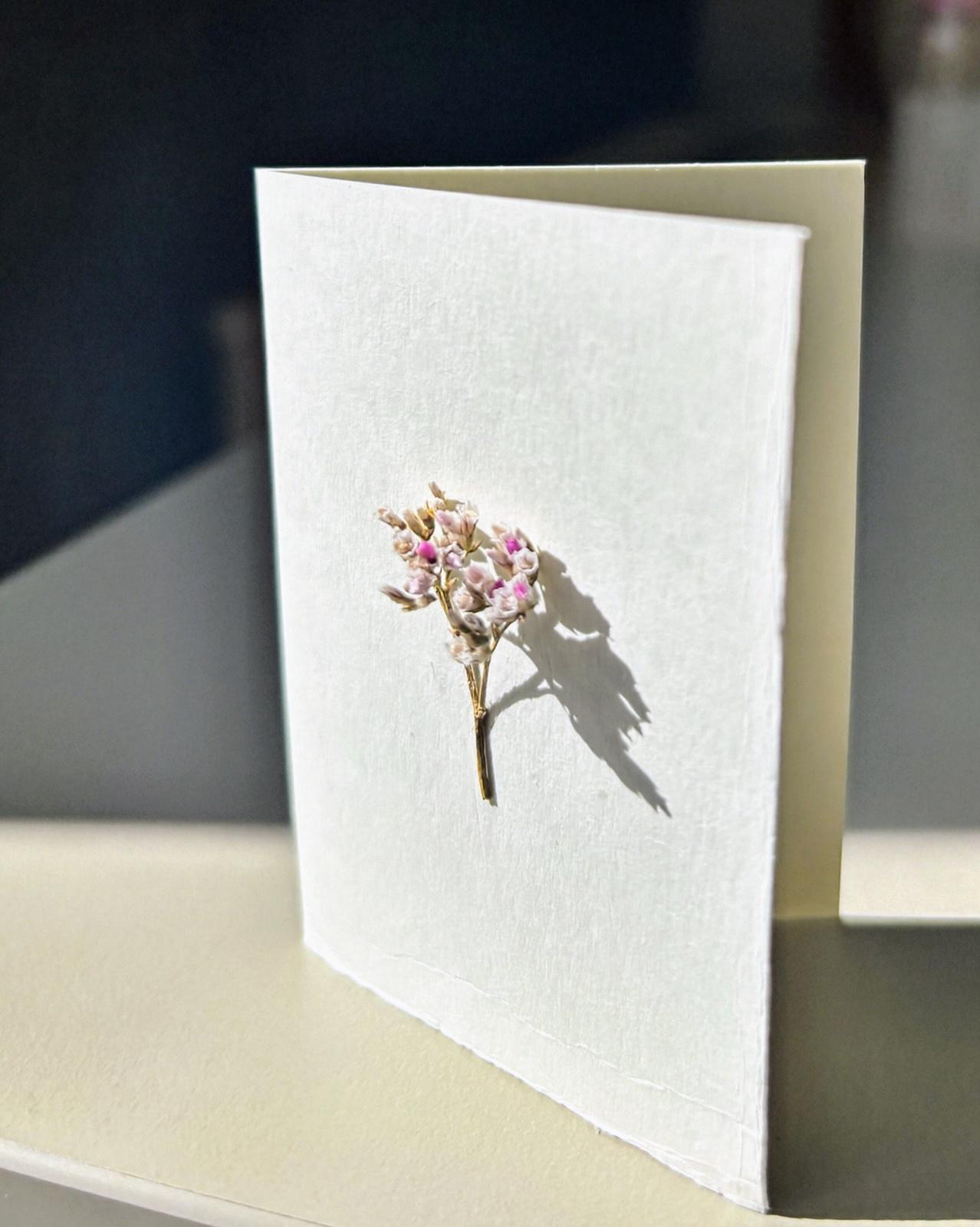 Felicitări cu flori naturale | Șoapte roz