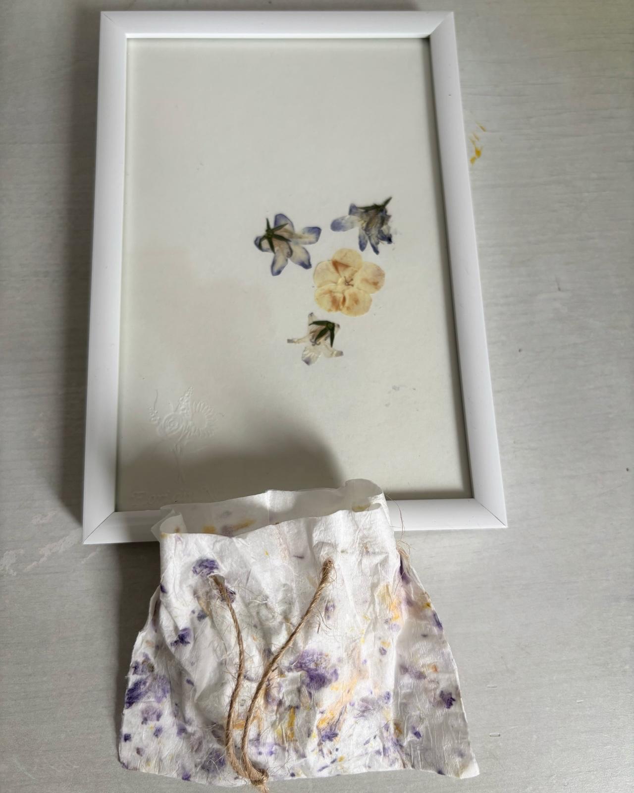 Răgaz —  Flori Păstrate | Ecou Violet