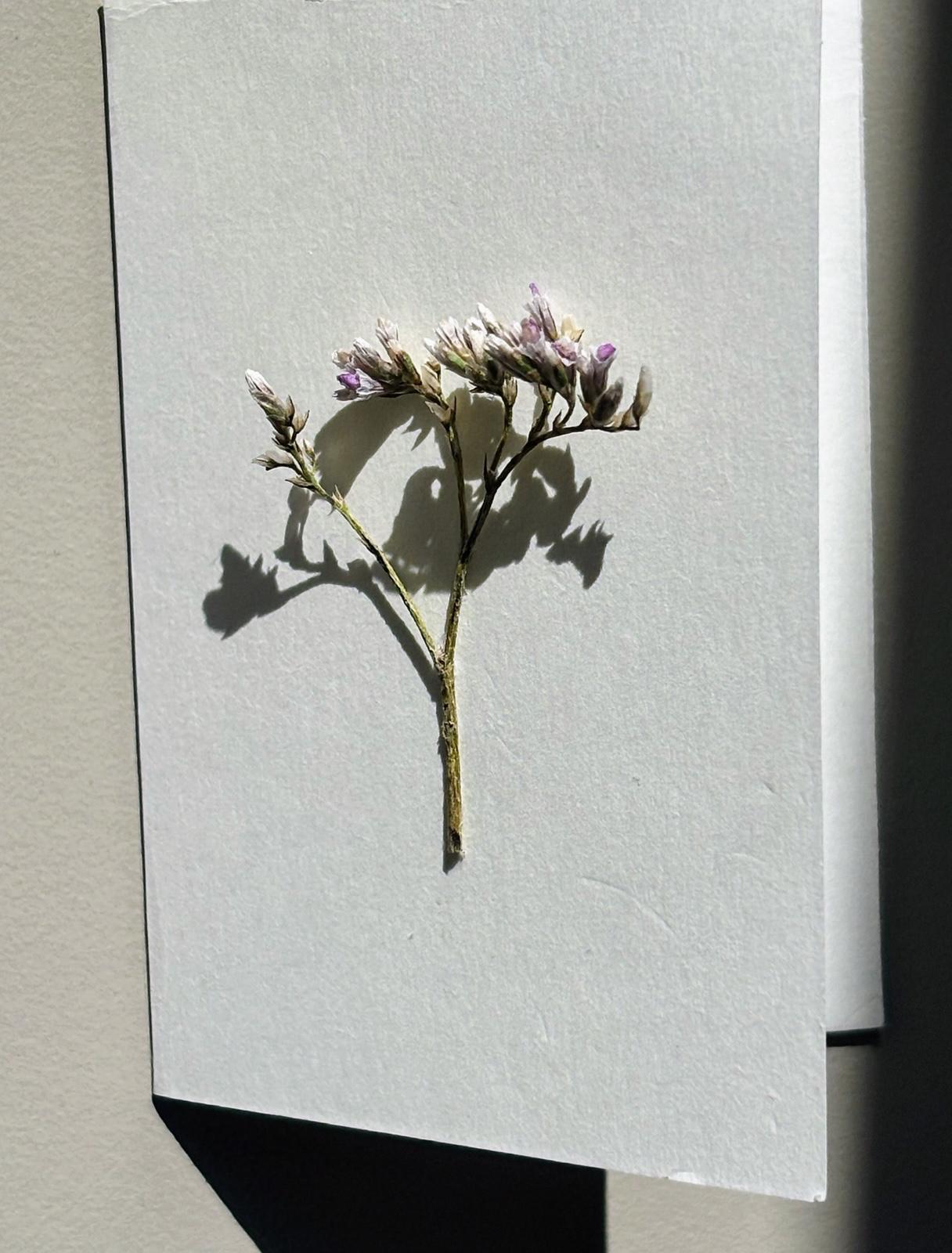 Felicitare minimalistă cu mic buchet de flori presate naturale